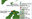 description_img1.png
