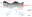 NOA_ScCase1.png