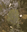 OutreachInstruments_magnetometer_img2.png